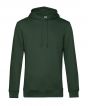 Forest Green Colour Sample