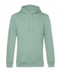 Sage Colour Sample