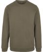 Olive Colour Sample