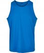 Cobalt Blue Colour Sample