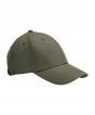 Olive Green Colour Sample
