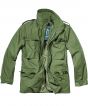 Olive Colour Sample