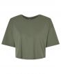 Military Green Colour Sample