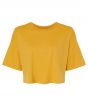 Mustard Colour Sample