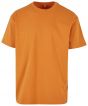 Forgotten Orange Colour Sample