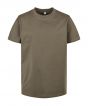 Olive Colour Sample