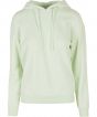 Light Mint Colour Sample