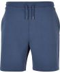 Vintage Blue Colour Sample