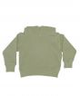Soft Olive Colour Sample