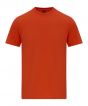 Orange Colour Sample