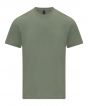 Sage Colour Sample
