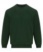 Forest Green Colour Sample