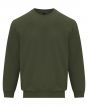 Military Green Colour Sample