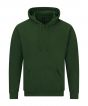 Forest Green Colour Sample