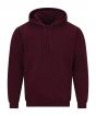 Maroon Colour Sample