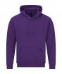 Purple Colour Sample