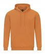 Tangerine Colour Sample