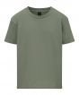 Sage Colour Sample