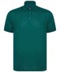 Bottle Green Colour Sample