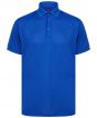 Royal Colour Sample