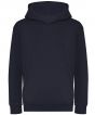 New French Navy Colour Sample