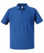 Bright Royal Colour Sample