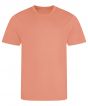 Peach Sorbet Colour Sample