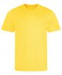 Sun Yellow Colour Sample