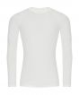 Arctic White Colour Sample