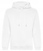 Arctic White Colour Sample