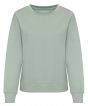 Dusty Green Colour Sample