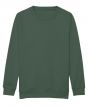 Bottle Green Colour Sample