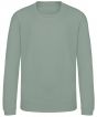 Dusty Green Colour Sample