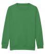 Kelly Green Colour Sample