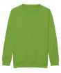 Lime Green Colour Sample