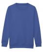 Royal Blue Colour Sample