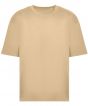 Desert Sand Colour Sample