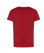 Fire Red Colour Sample