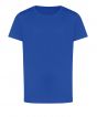 Royal Blue Colour Sample
