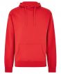 Red Colour Sample