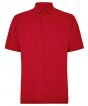 Cardinal Red Colour Sample