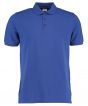 Royal Colour Sample