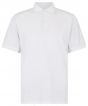 White Colour Sample