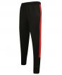 Black/ Red Colour Sample