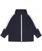 Navy/White Colour Sample