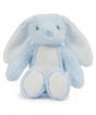 Blue Bunny Colour Sample