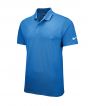 Game Royal/White Colour Sample