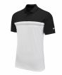 Black / White / Light Smoke Grey / White Colour Sample