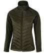 Olive Colour Sample
