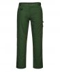 Forest Green Colour Sample